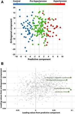 Metabolomic profiling reveals key metabolites associated with hypertension progression